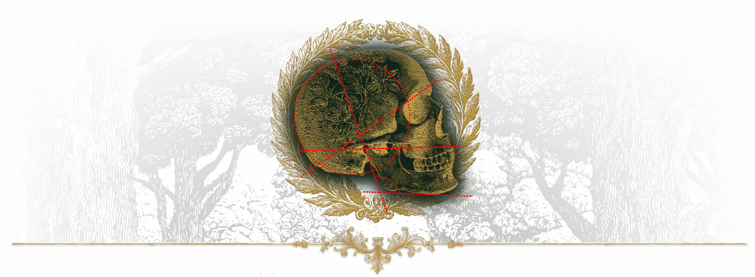 Crânio Primal - Banner